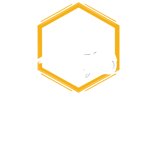 altitude logo-w-v